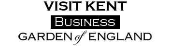 VK Biz logo 2